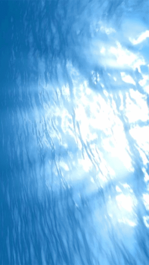 android bootanimation 1080x1920 collection